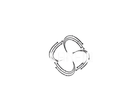 LaneIQ